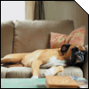gr/icon-depri.gif